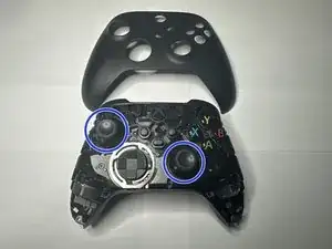 2XFLgmFFGUXoqMOD
