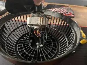 Motor