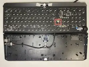 JG1ReKpUo1XFm4Tg