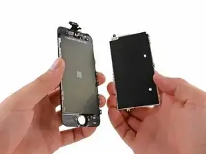 MvY1dPSKfZRgcotr