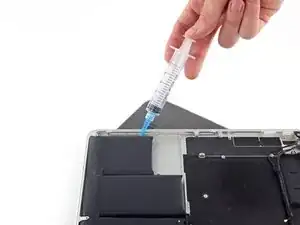 oj24bP4wNjUXVHdG