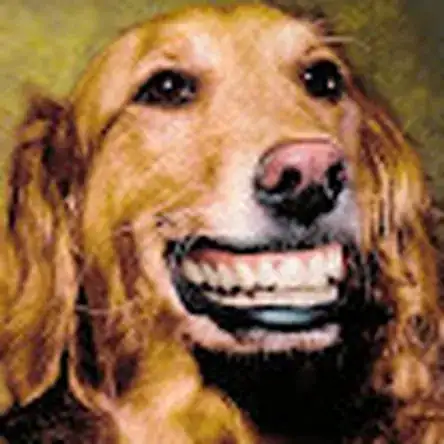 User