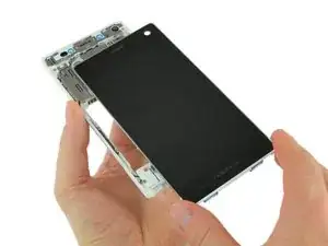 Display Assembly