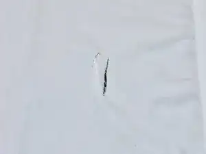 xAmtiO1YbGSTYgFG