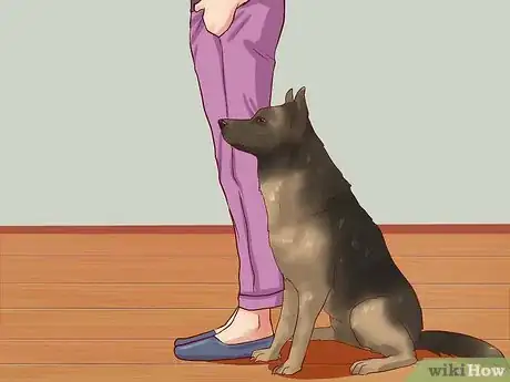 Image titled Teach Your Dog Basic Commands Step 6