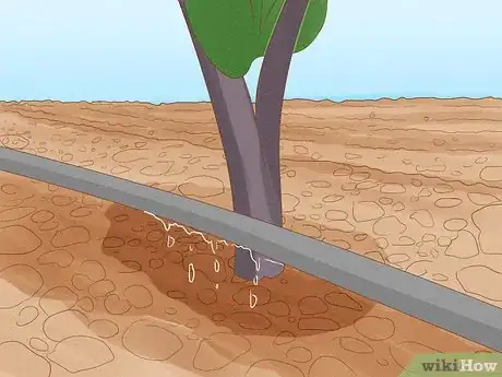 Image titled Determine How Much Water Plants Need Step 4