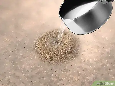 Image titled Kill Flying Ants Step 10