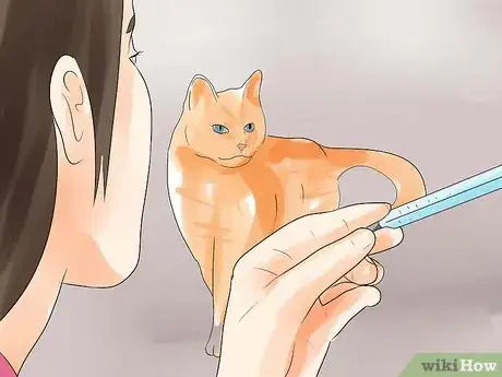 Image titled Know if Your Cat Is Dying Step 3