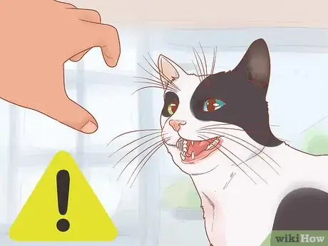 Image titled Have Fun with Your Cat Step 15