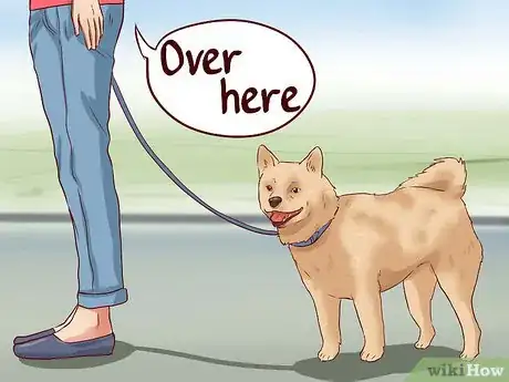 Image titled Teach Your Dog Basic Commands Step 21