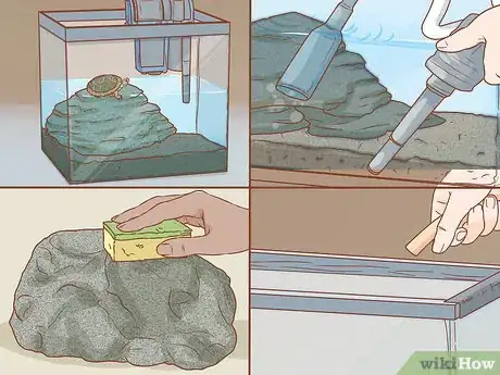 Image titled Care for Turtles Step 16