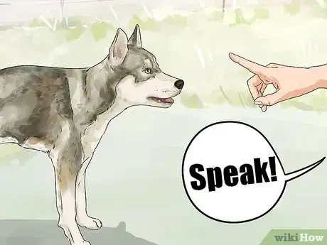 Image titled Teach Your Dog the Stop Barking Command Step 4