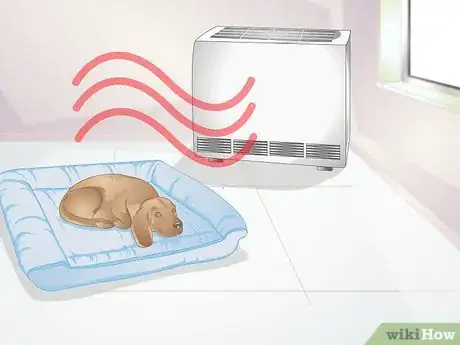 Image titled Choose a Place for Your Dog to Sleep Step 10