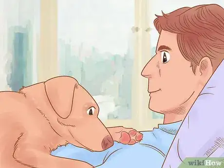 Image titled Know if Your Dog Likes You the Best Step 5