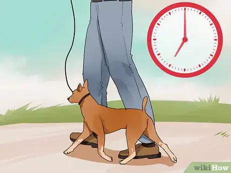 Image titled Improve Your Dog's Show Ring Gait Step 3