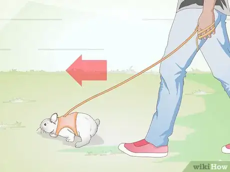 Image titled Exercise Your Rabbit Step 7