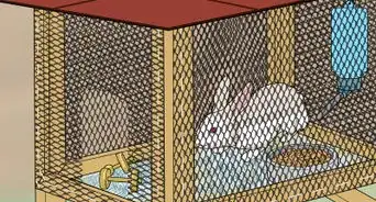 Build a Rabbit Hutch