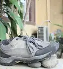 Remove the Smell of Cat Urine from Running Shoes