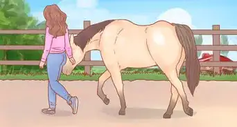 Join Up With a Horse