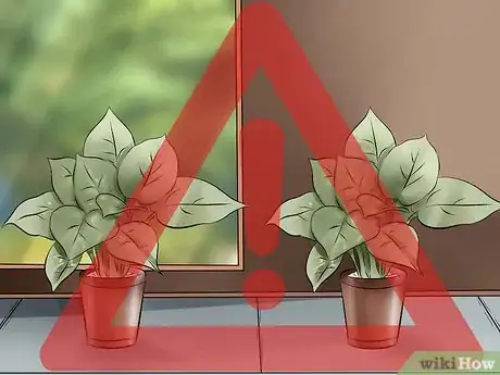 Image titled Get Rid of Spider Mites Step 5