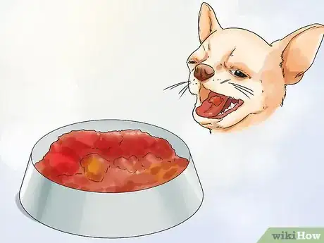 Image titled Feed Chihuahua Dogs Step 5