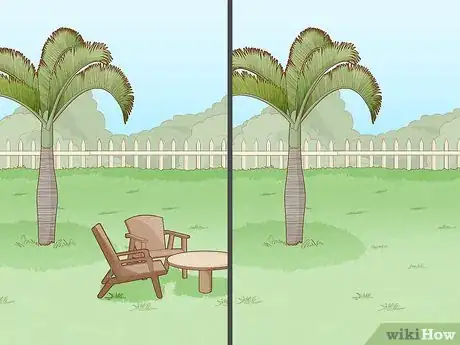 Image titled Remove a Palm Tree Step 18