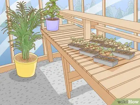 Image titled Arrange the Inside of a Greenhouse Step 13