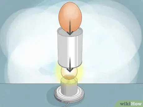 Image titled Hatch Chicken Eggs Step 16