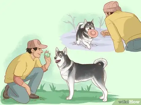 Image titled Build a Dog's Confidence Step 5