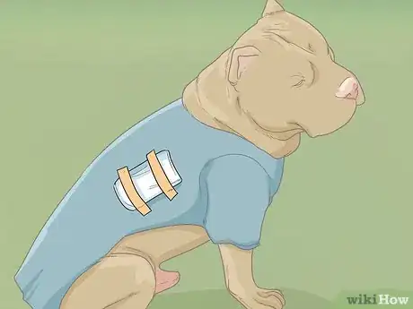 Image titled Help Your Dog Recover from Surgery Step 16