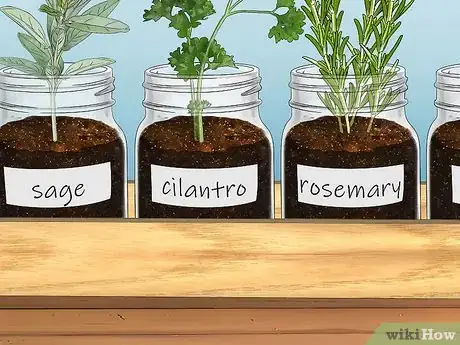 Image titled Build a Mason Jar Herb Garden Step 8