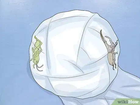 Image titled Make a Saran Wrap Ball Step 11