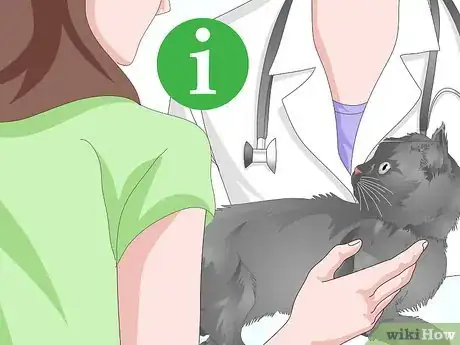 Image titled Check a Cat for Fever Step 17