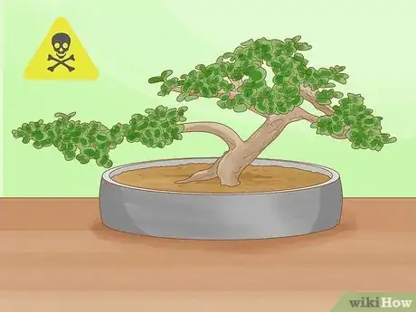 Image titled Are Bonsai Trees Poisonous to Cats Step 4