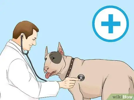 Image titled Be a Good Pet Owner Step 10