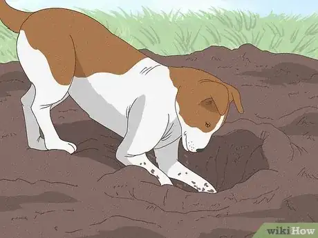 Image titled Why Do Dogs Bury Bones Step 11