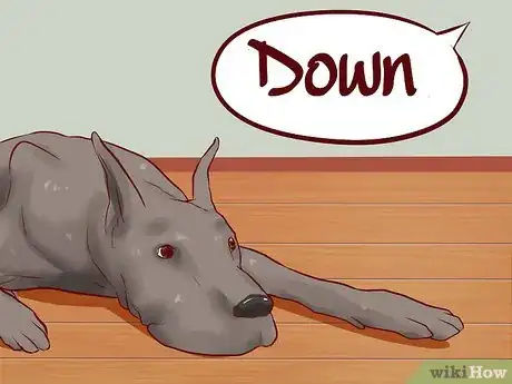 Image titled Teach Your Dog Basic Commands Step 9