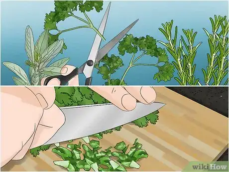 Image titled Build a Mason Jar Herb Garden Step 11