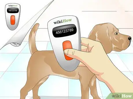 Image titled Tell if a Dog Is Microchipped Step 3