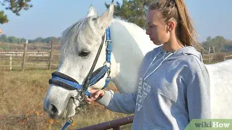 Image titled Groom a Horse Step 10