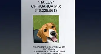 Make an Effective Missing Pet Poster