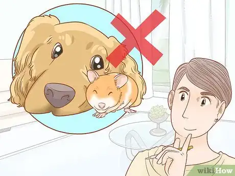 Image titled Keep a Hamster and a Dog Step 12