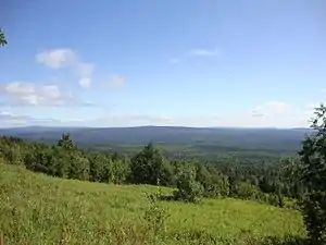 Urals montane tundra and taiga