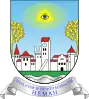 Coat of arms of Nemansky District