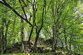 Remains of the fortress walls