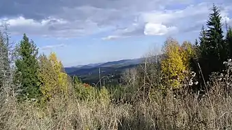 Skole Beskids. View of the village Tukholka.