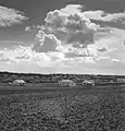 Kfar Saba immigrant housing 1945