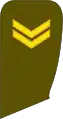 Seržantas(Lithuanian Land Force)