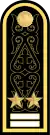 Екінші дәрежелі капитанEkinşi därejeli kapïtan(Kazakh Naval Forces)