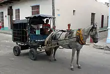 Metal horse-drawn vehicle harnessed to a gray horse and consisting of a cage with a pig inside.